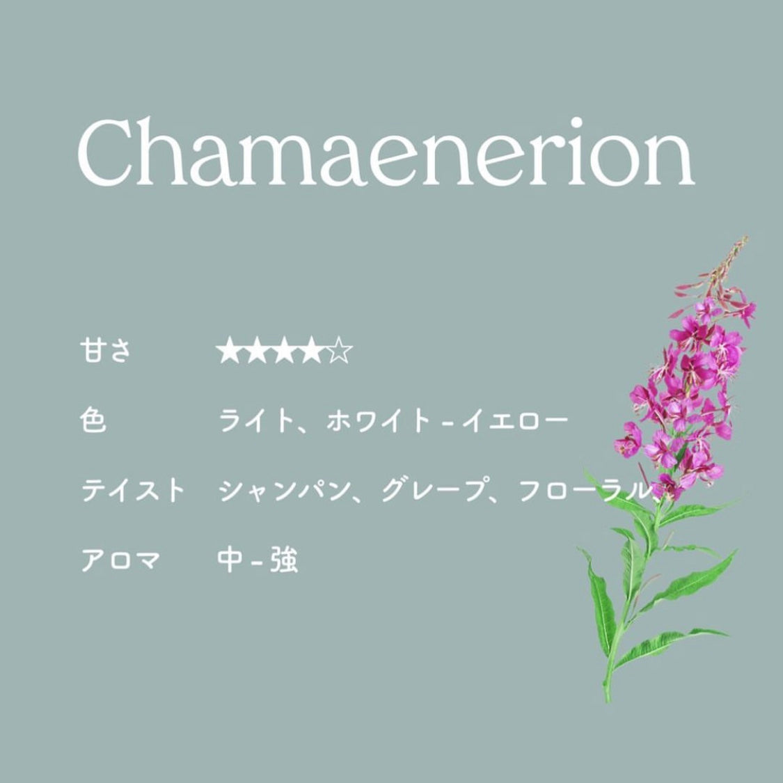 CHAMAENERION HONEY